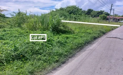 Palm Breeze Drive New Providence Paradise Island BS