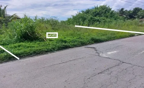 Palm Breeze Drive New Providence Paradise Island BS