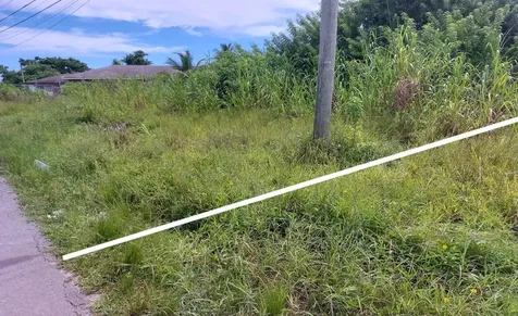 Palm Breeze Drive New Providence Paradise Island BS