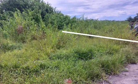 Palm Breeze Drive New Providence Paradise Island BS