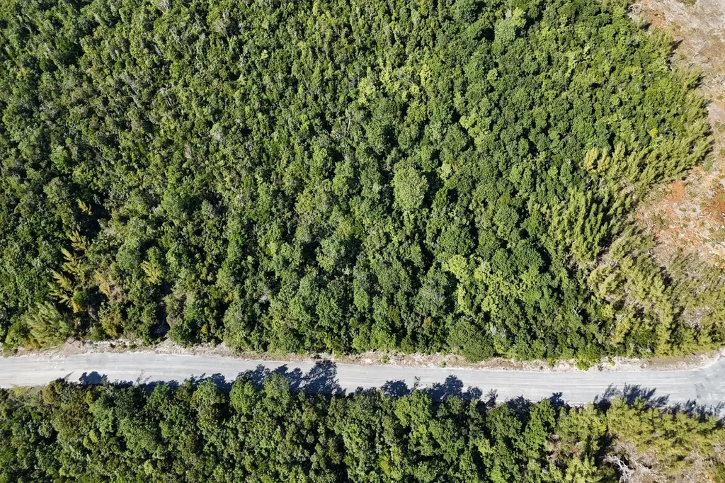 Turtle Cove, The Landing 10 Abaco BS