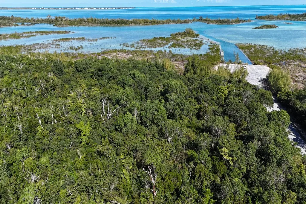Turtle Cove, The Landing 10 Abaco BS