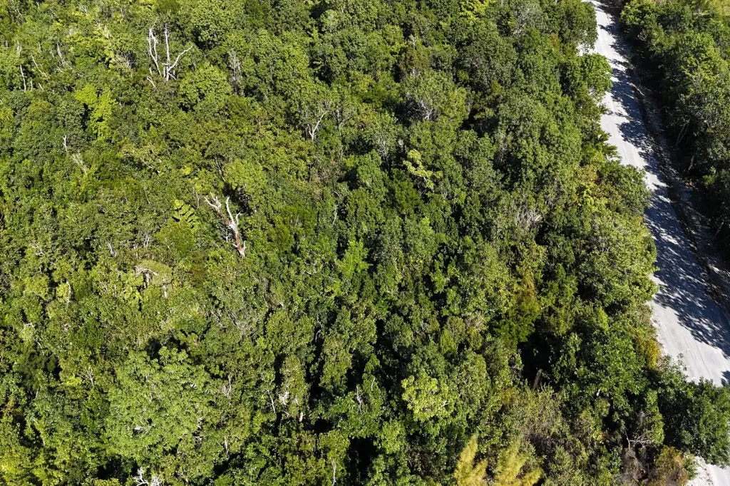 Turtle Cove, The Landing 10 Abaco BS