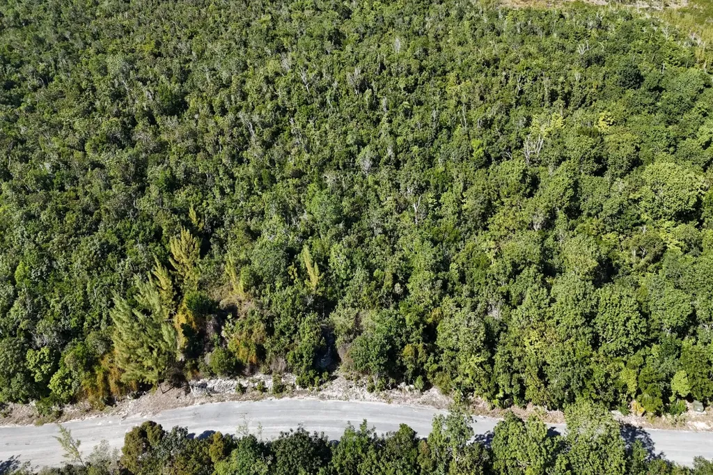 Turtle Cove, The Landing 10 Abaco BS