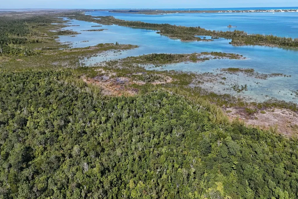 Turtle Cove, The Landing 10 Abaco BS