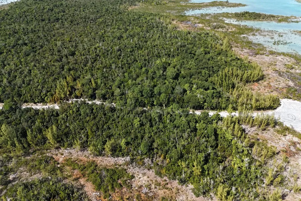 Turtle Cove, The Landing 10 Abaco BS