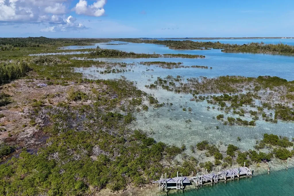 Turtle Cove, The Landing 10 Abaco BS
