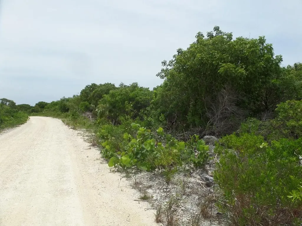 North Crown Cay Long Island BS