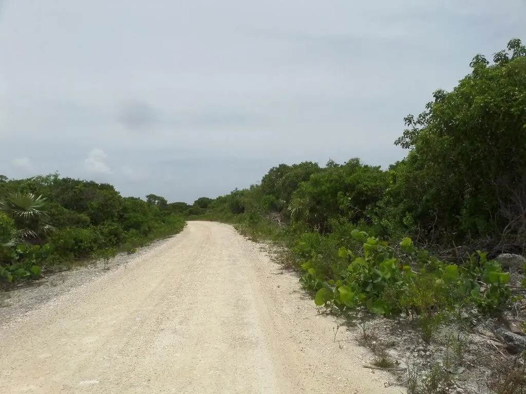 North Crown Cay Long Island BS
