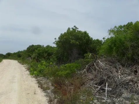 North Crown Cay Long Island BS