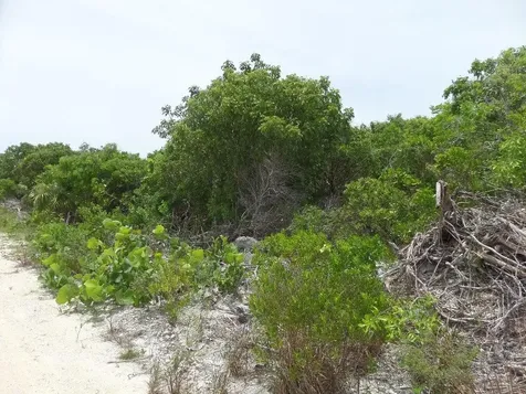 North Crown Cay Long Island BS