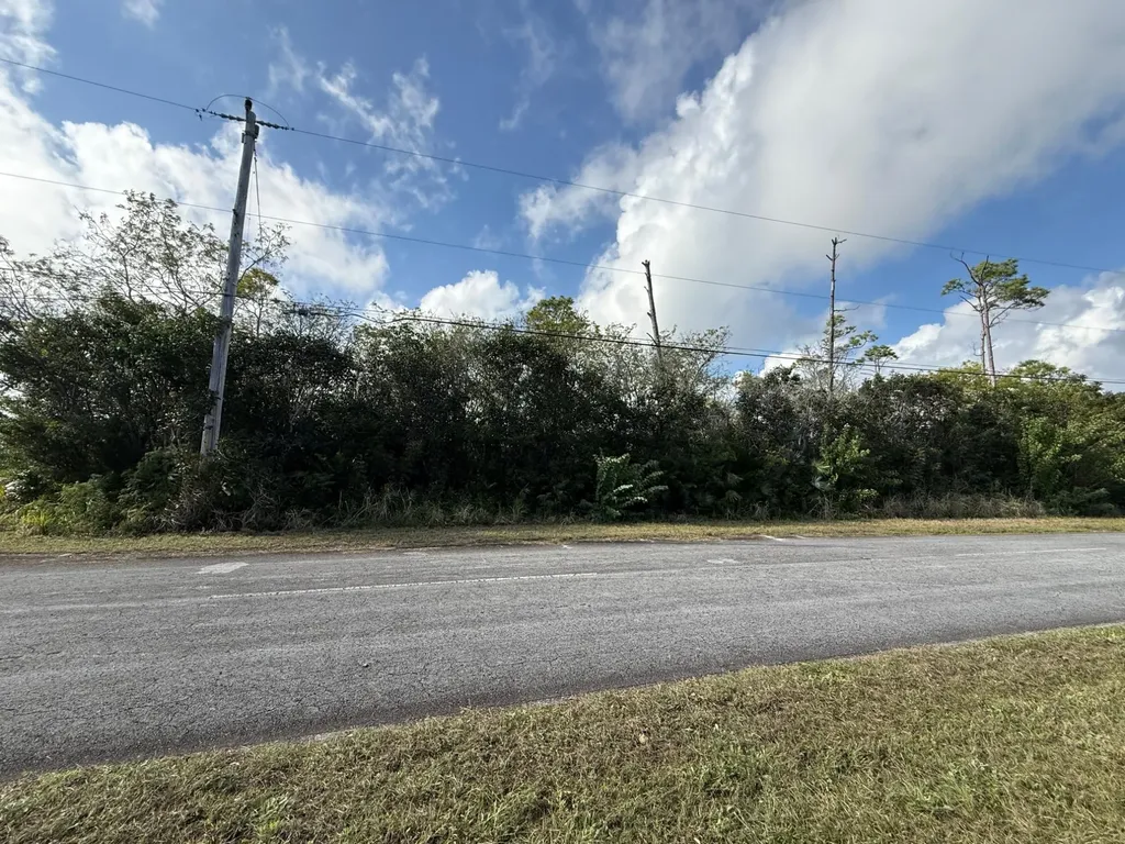 Seed Pearl Lane Grand Bahama Freeport BS