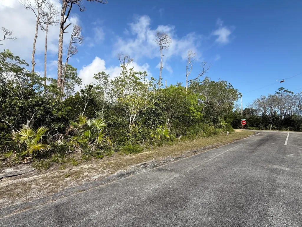 Seed Pearl Lane Grand Bahama Freeport BS