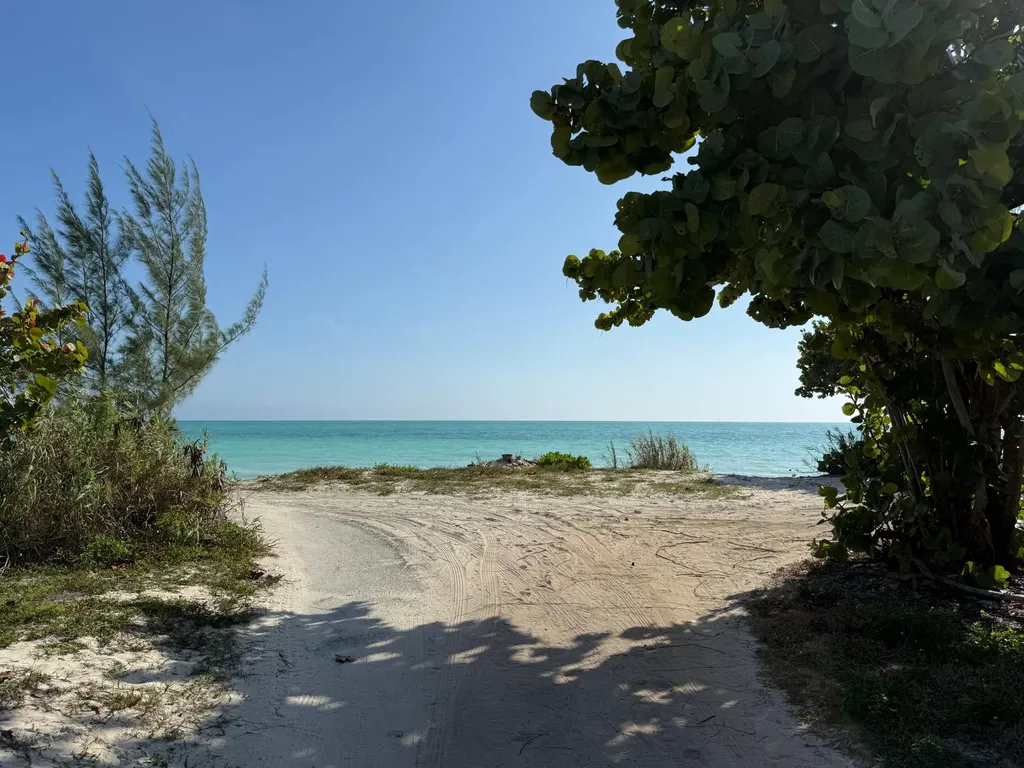 Seed Pearl Lane Grand Bahama Freeport BS