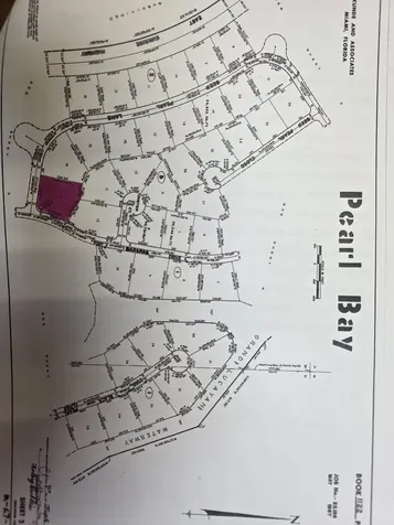 Seed Pearl Lane Grand Bahama Freeport BS