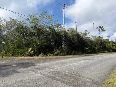 Seed Pearl Lane Grand Bahama Freeport BS