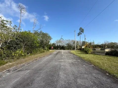 Seed Pearl Lane Grand Bahama Freeport BS