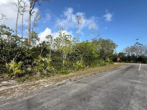 Seed Pearl Lane Grand Bahama Freeport BS