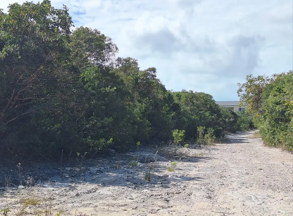 Flamingo Bay Barque Road Exuma BS