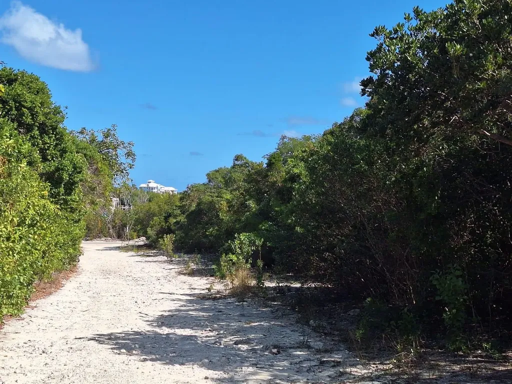 Flamingo Bay Barque Road Exuma BS