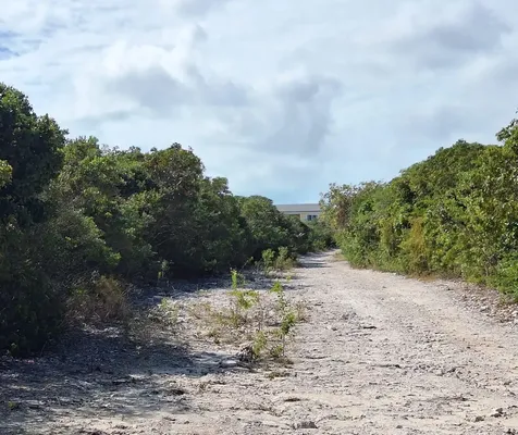 Flamingo Bay Barque Road Exuma BS