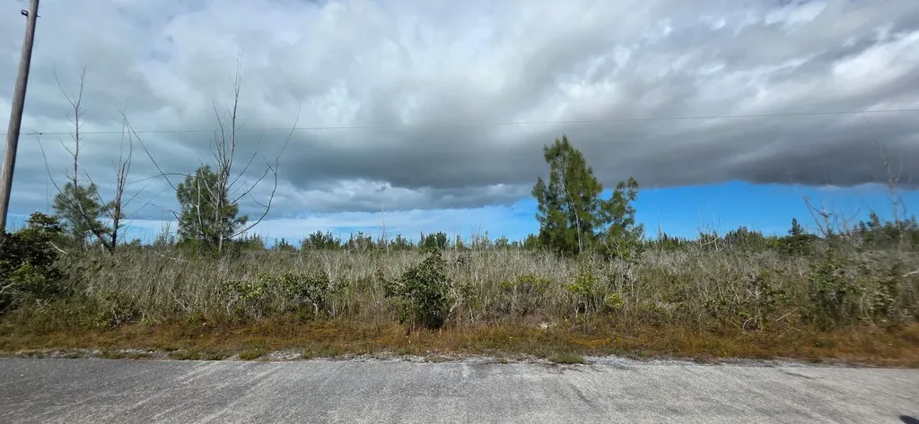 Shalford Place 59 Grand Bahama Freeport BS