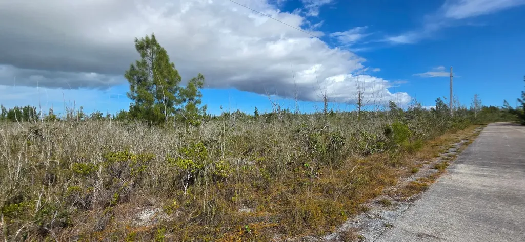 Shalford Place 59 Grand Bahama Freeport BS