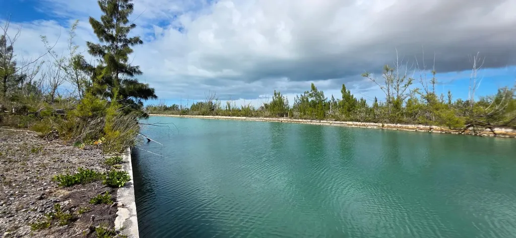 Shalford Place 59 Grand Bahama Freeport BS