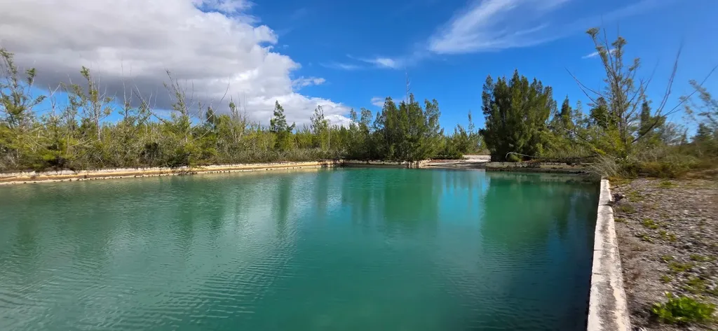 Shalford Place 59 Grand Bahama Freeport BS