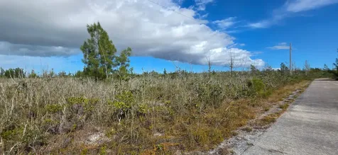 Shalford Place 59 Grand Bahama Freeport BS