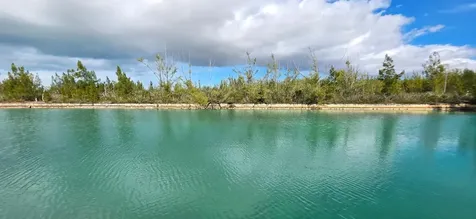 Shalford Place 59 Grand Bahama Freeport BS