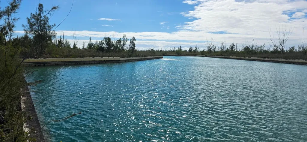 Rainham Place 64-66 Grand Bahama Freeport BS