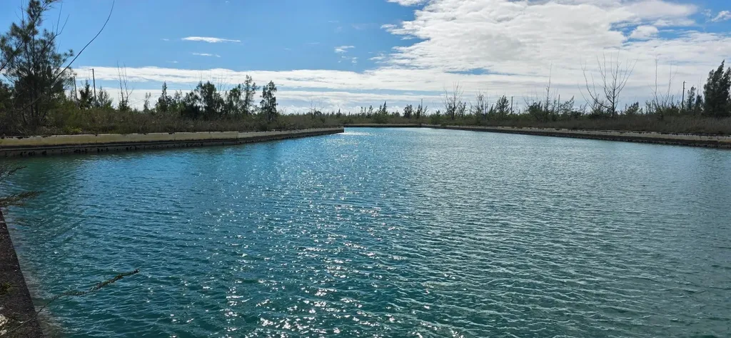 Rainham Place 64-66 Grand Bahama Freeport BS