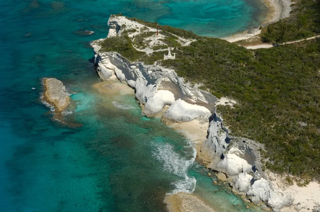 Seymour's Long Island Long Island BS