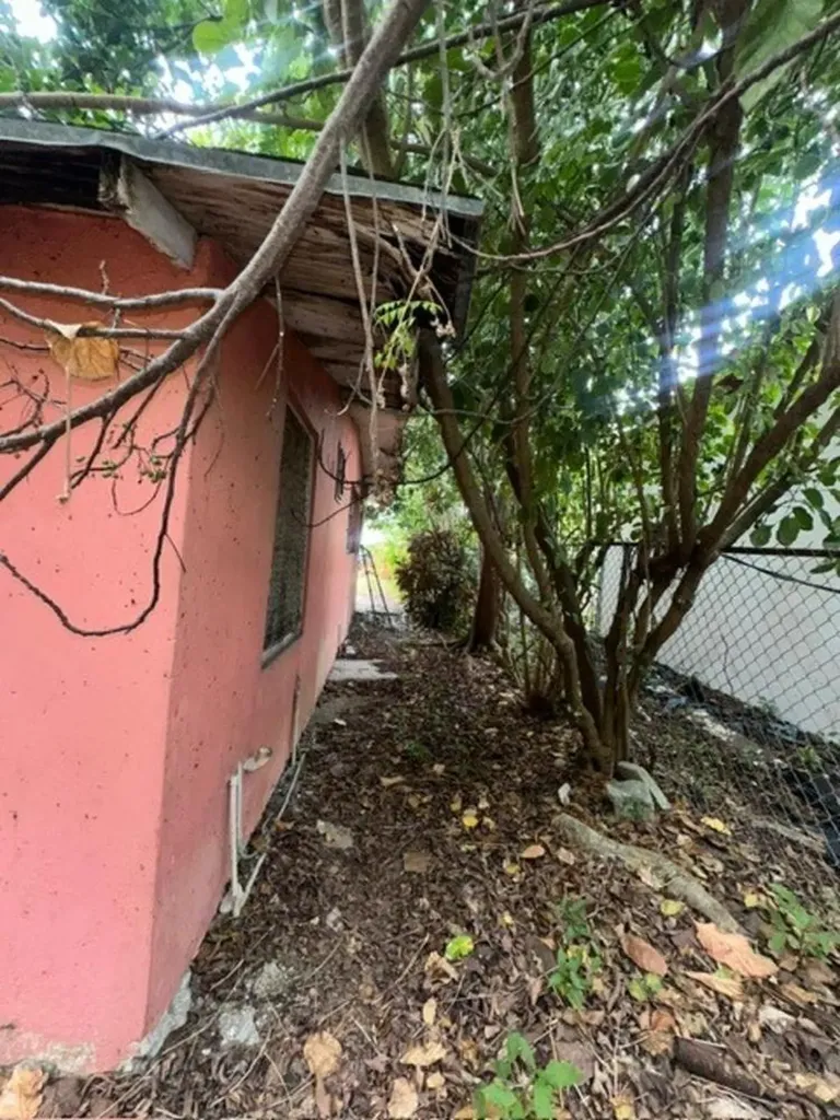 Pinewood Gardens New Providence Paradise Island BS