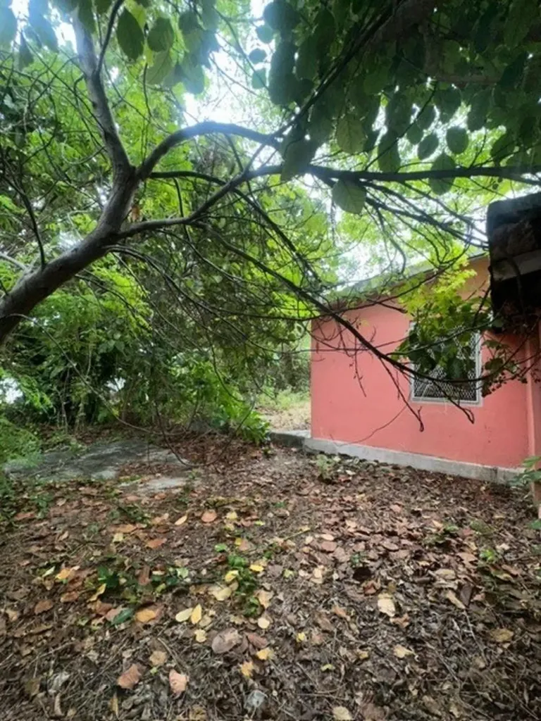 Pinewood Gardens New Providence Paradise Island BS