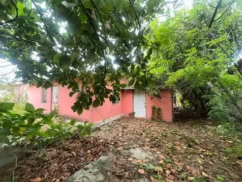 Pinewood Gardens New Providence Paradise Island BS