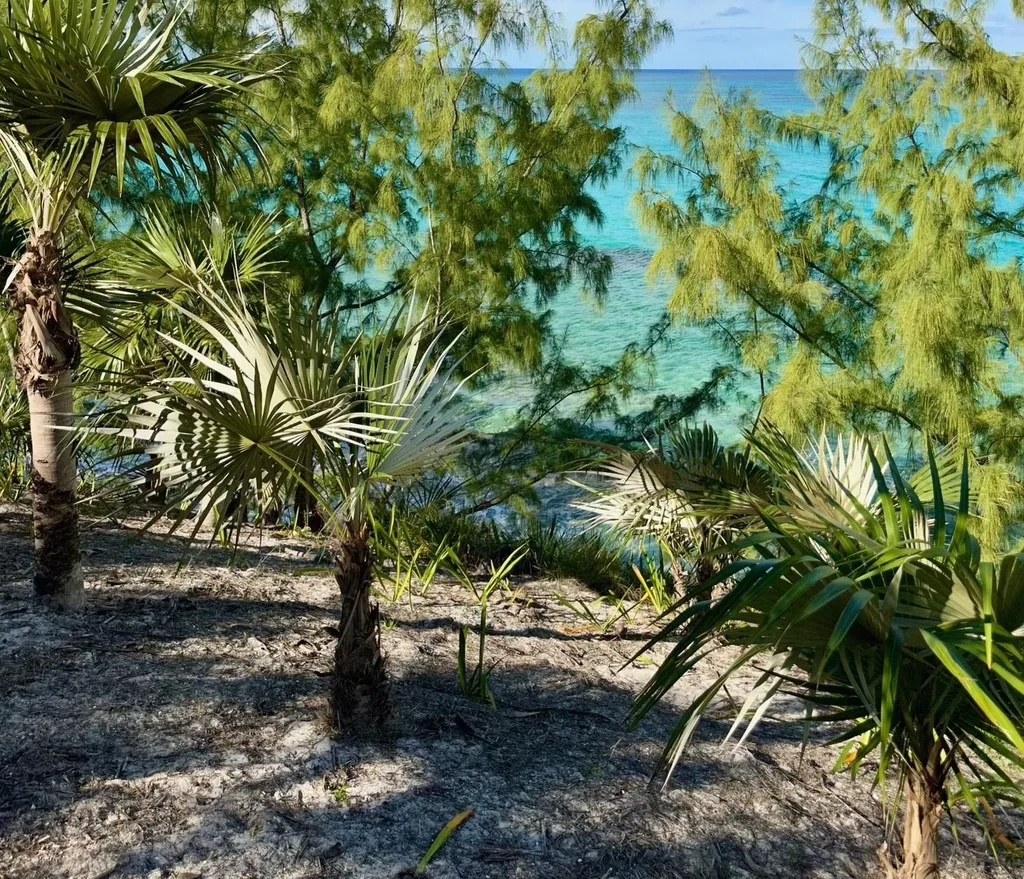 Banks Road Eleuthera BS