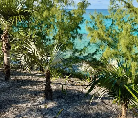 Banks Road Eleuthera BS