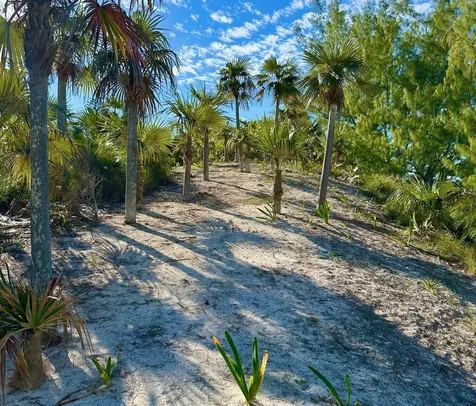 Banks Road Eleuthera BS