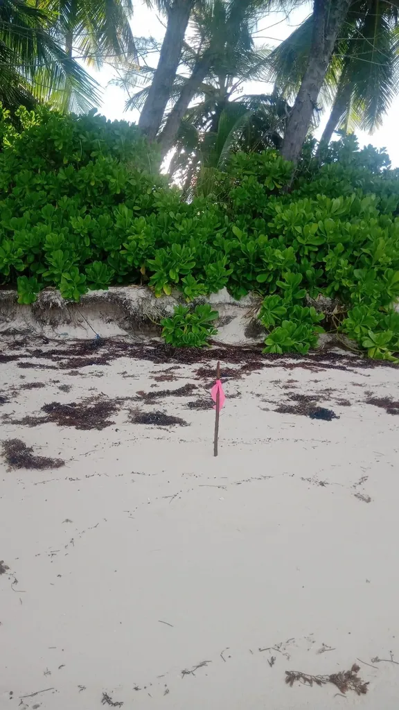 Kemp's Bay Andros Beach Andros BS