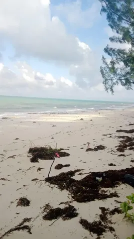 Kemp's Bay Andros Beach Andros BS