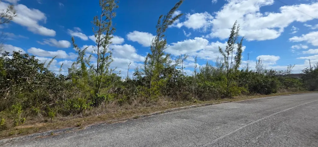 Dunton Lane 2 Grand Bahama Freeport BS