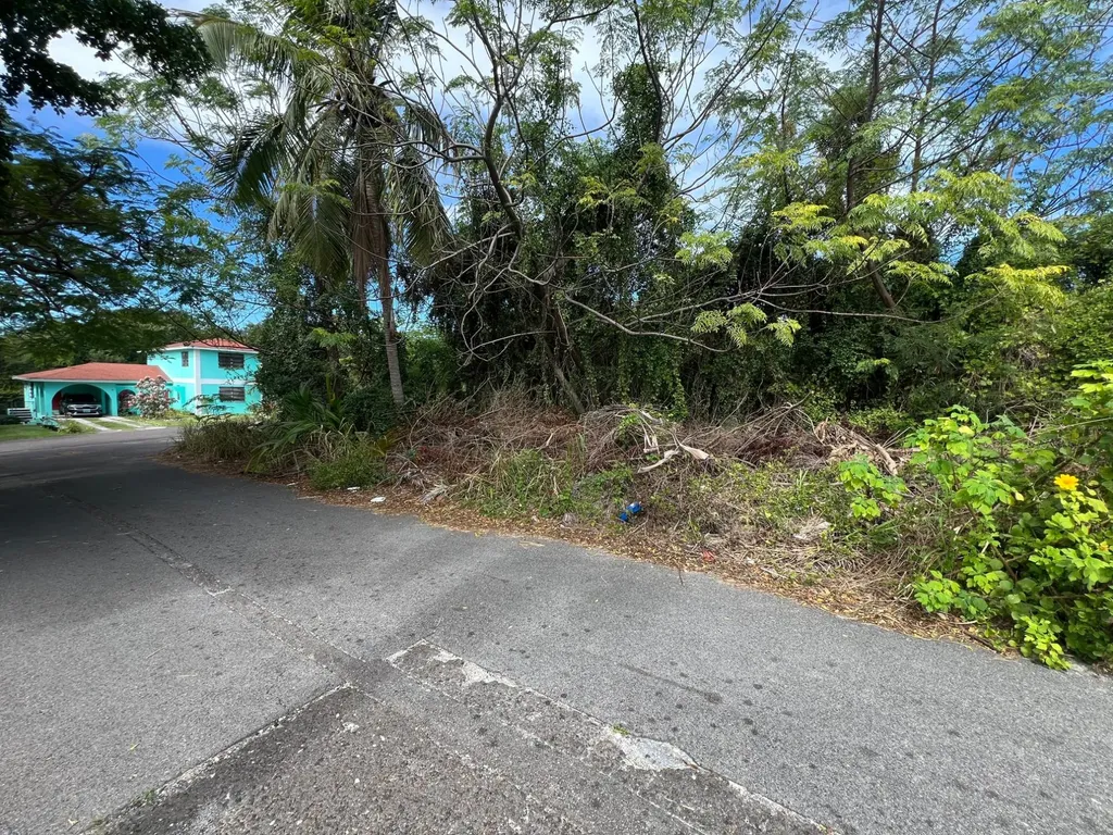 Dodge Road 24 New Providence Paradise Island BS