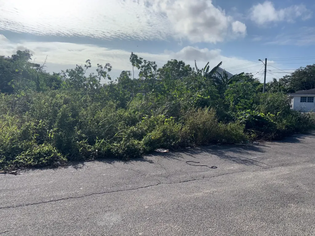 Haven Avenue New Providence Paradise Island BS