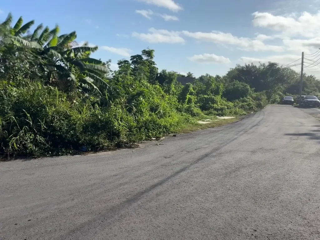 Haven Avenue New Providence Paradise Island BS