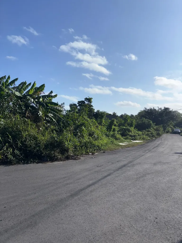 Haven Avenue New Providence Paradise Island BS