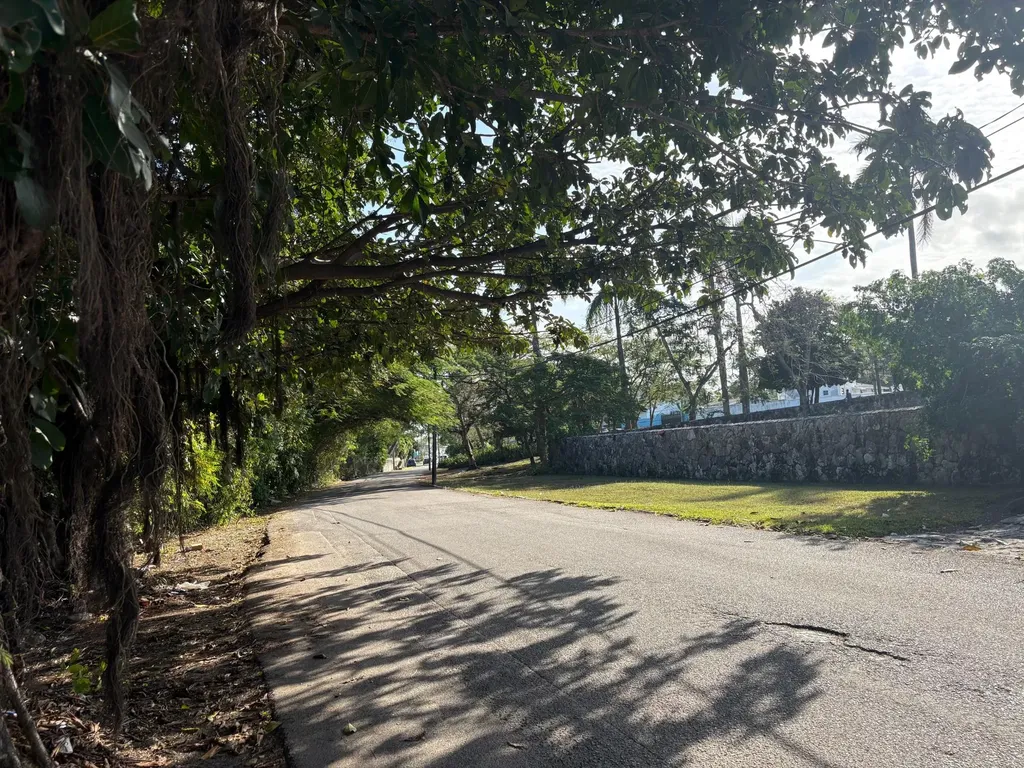 Haven Avenue New Providence Paradise Island BS