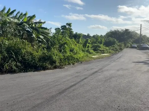 Haven Avenue New Providence Paradise Island BS