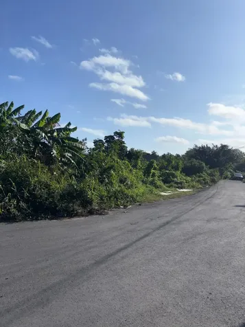 Haven Avenue New Providence Paradise Island BS